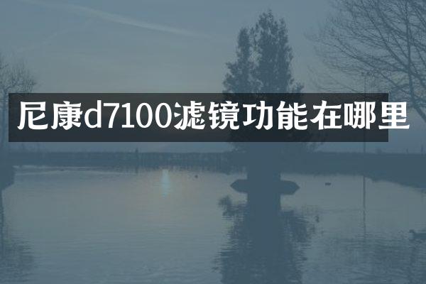 尼康d7100滤镜功能在哪里
