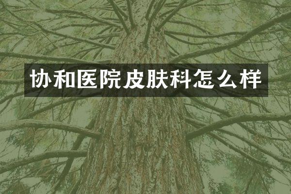 协和医院皮肤科怎么样
