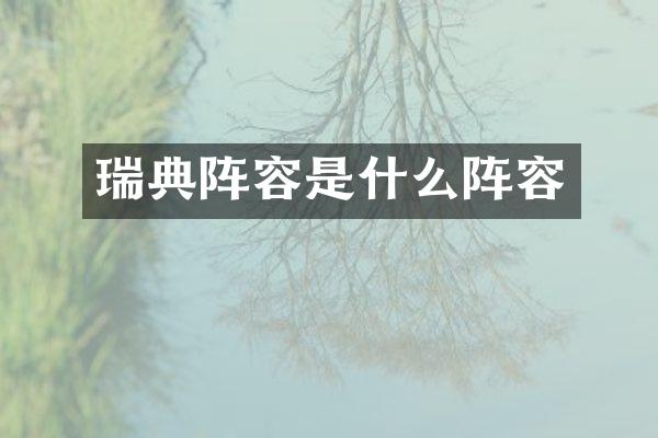 瑞典阵容是什么阵容