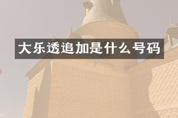大追加是什么号码