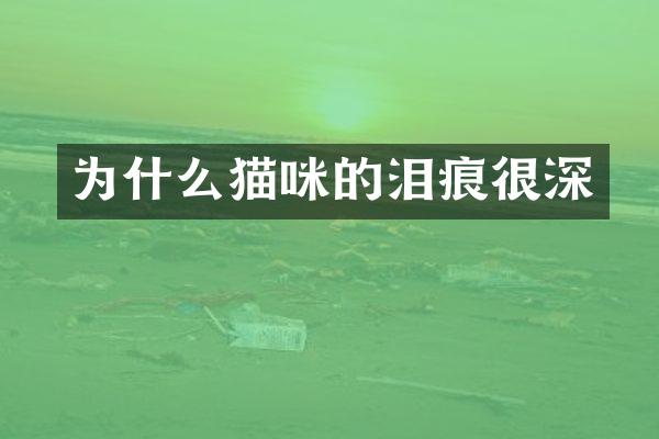 为什么猫咪的泪痕很深
