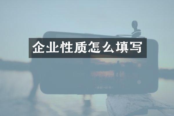 企业性质怎么填写