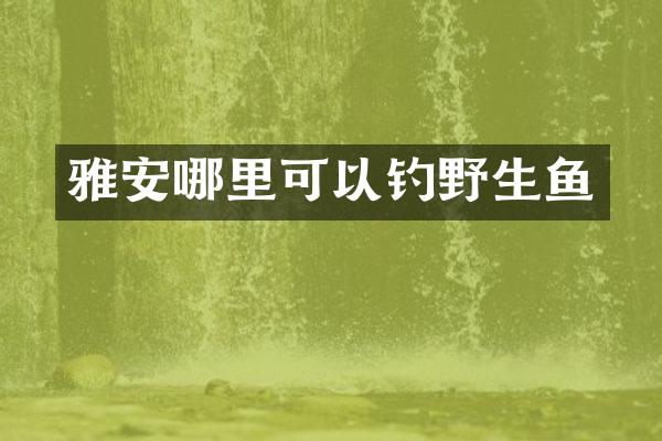 雅安哪里可以钓野生鱼