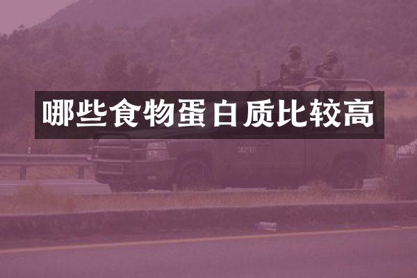 哪些食物蛋白质比较高