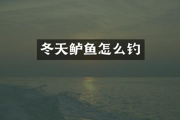 冬天鲈鱼怎么钓