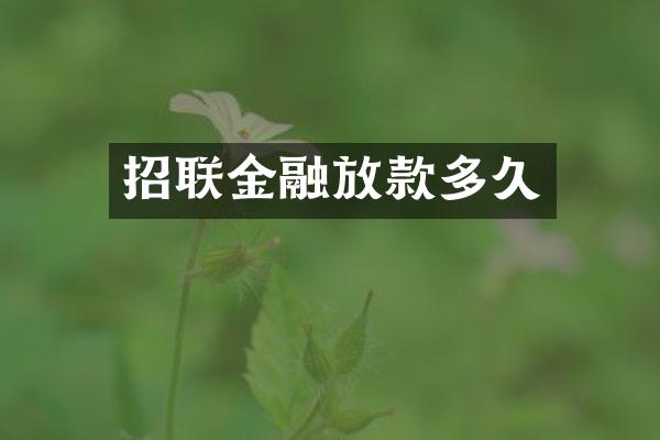 招联金融放款多久