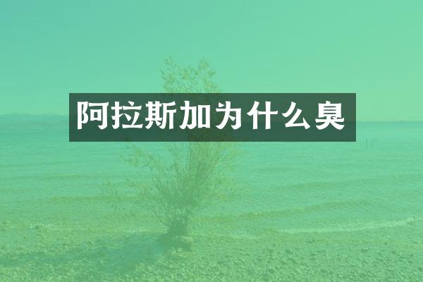 阿拉斯加为什么臭