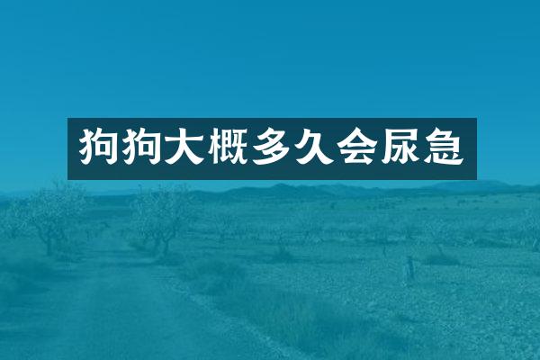 狗狗大概多久会尿急