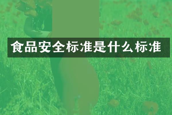 食品安全标准是什么标准