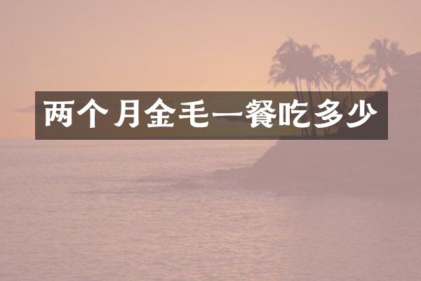 两个月金毛一餐吃多少
