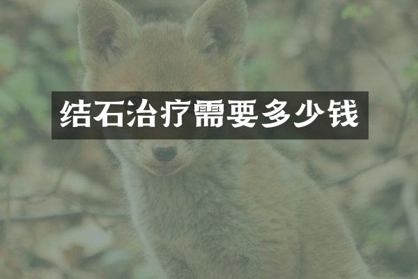结石治疗需要多少钱