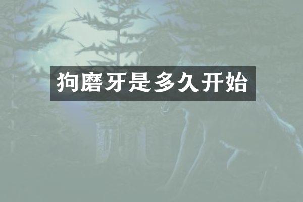 狗磨牙是多久开始