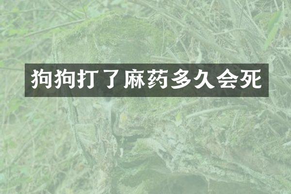 狗狗打了麻药多久会死