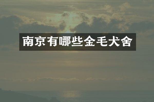 南京有哪些金毛犬舍