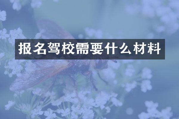 报名驾校需要什么材料