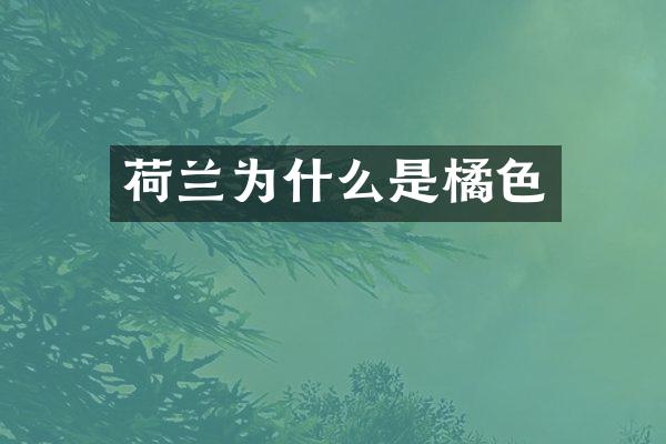 荷兰为什么是橘色