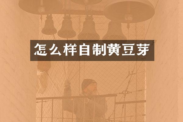 怎么样自制黄豆芽