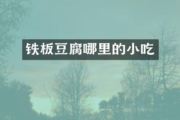 铁板豆腐哪里的小吃