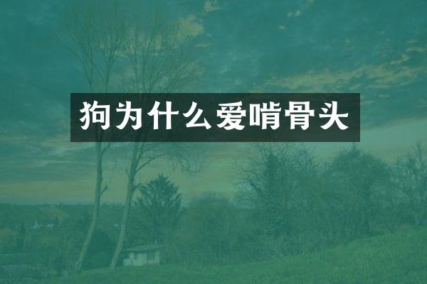 狗为什么爱啃骨头