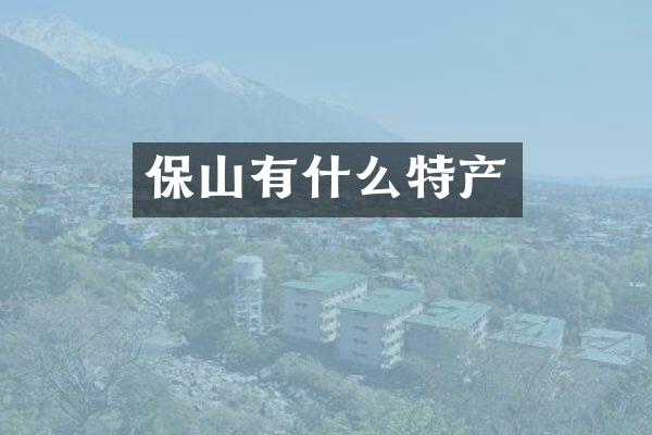 保山有什么特产