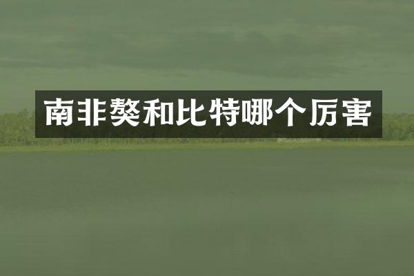 南非獒和比特哪个厉害