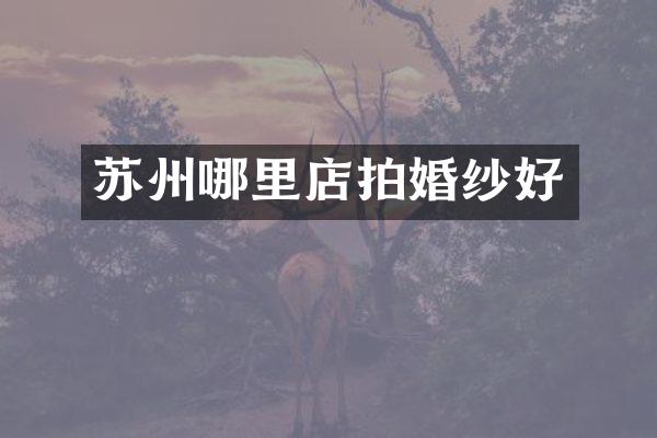 苏州哪里店拍婚纱好