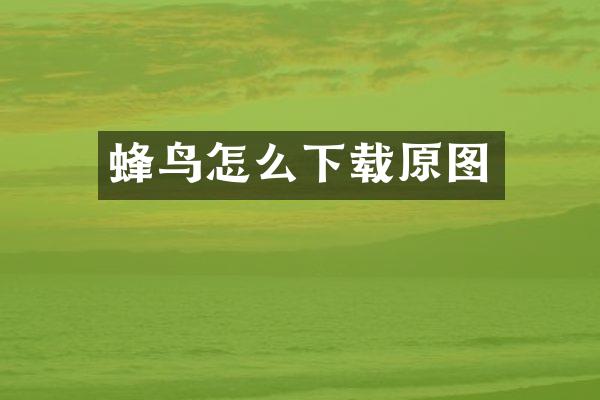 蜂鸟怎么下载原图