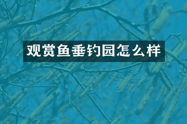 观赏鱼垂钓园怎么样