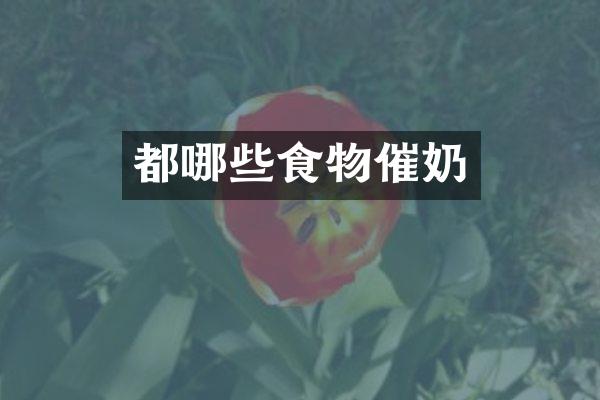 都哪些食物催奶