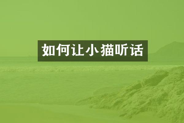 如何让小猫听话