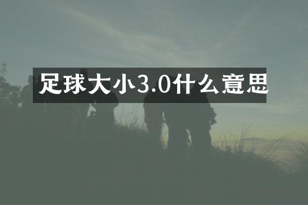 足球大小3.0什么意思