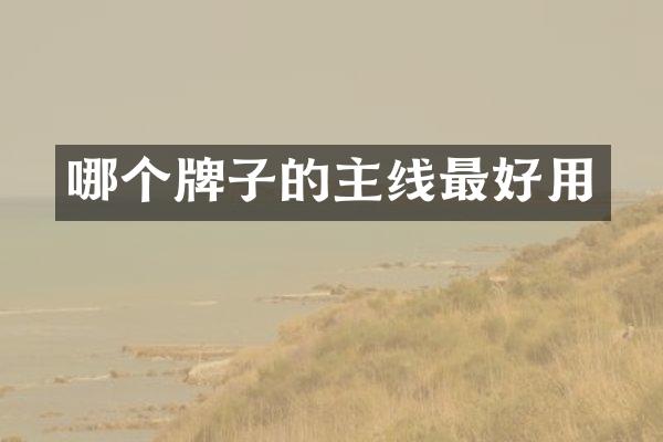 哪个牌子的主线最好用