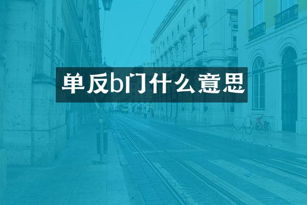 单反b门什么意思