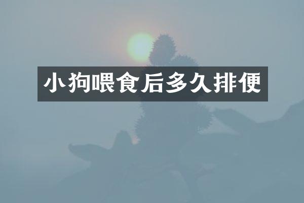 小狗喂食后多久排便