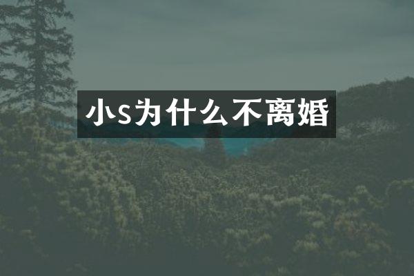 小s为什么不离婚