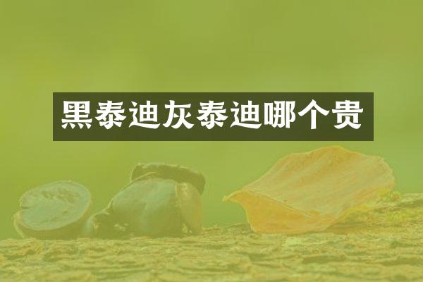 黑泰迪灰泰迪哪个贵