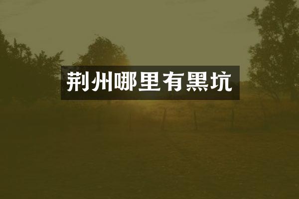 荆州哪里有黑坑