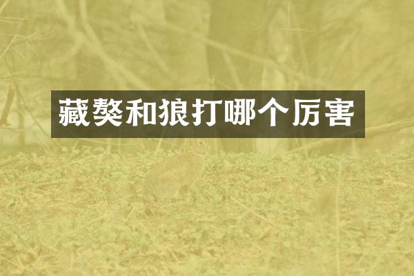 藏獒和狼打哪个厉害