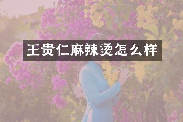 王贵仁麻辣烫怎么样