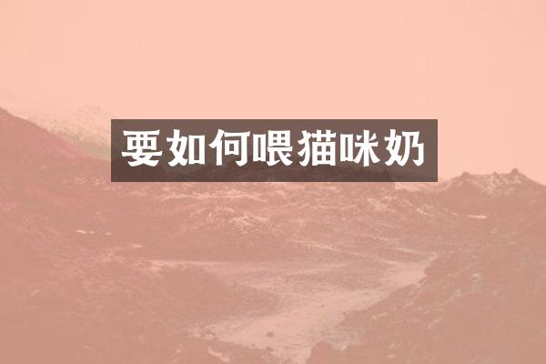 要如何喂猫咪奶
