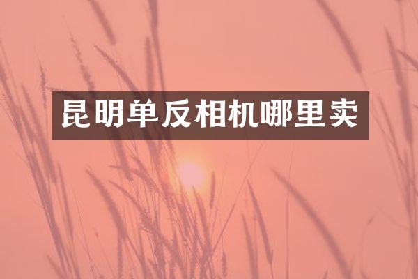 昆明单反相机哪里卖