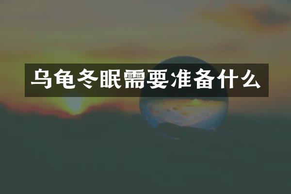 乌龟冬眠需要准备什么