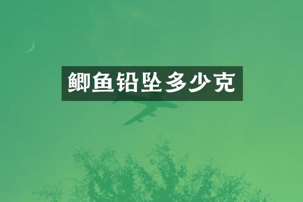 鲫鱼铅坠多少克