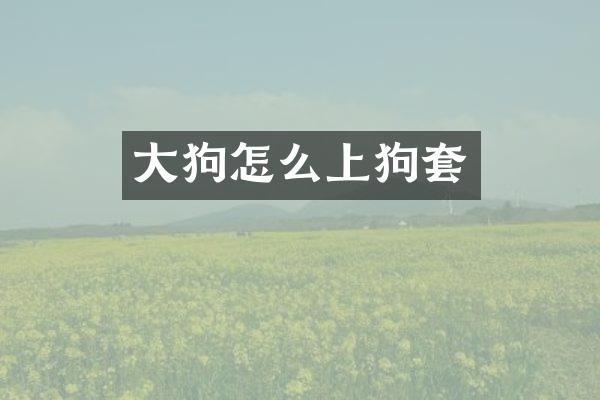 大狗怎么上狗套