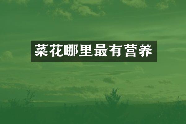 菜花哪里最有营养