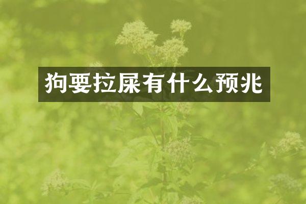 狗要拉屎有什么预兆