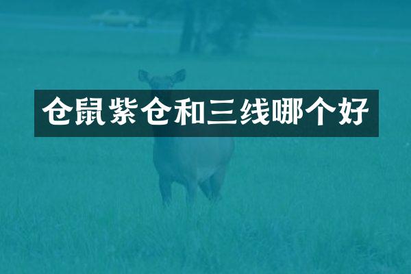 仓鼠紫仓和三线哪个好