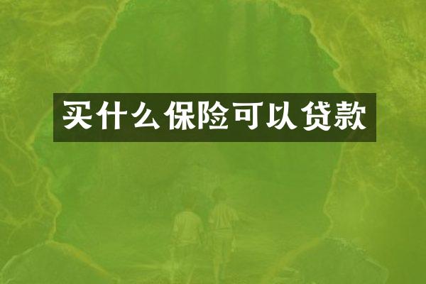买什么保险可以贷款