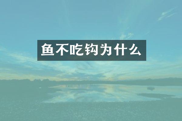 鱼不吃钩为什么
