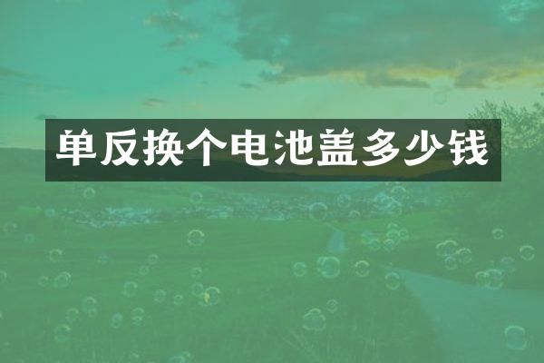 单反换个电池盖多少钱